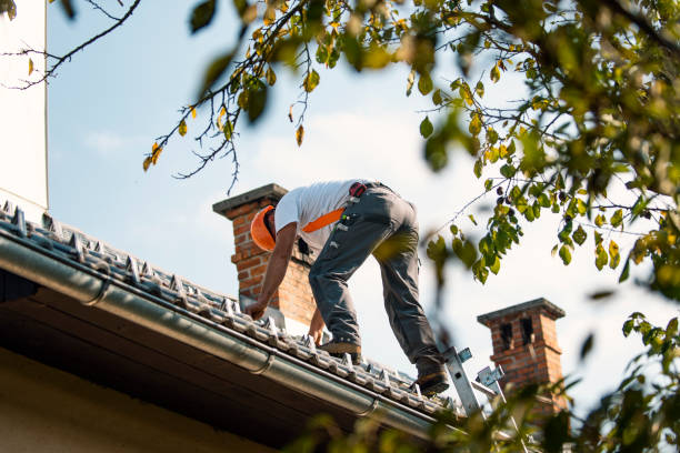 Best Gutter Installation and Roofing  in Highland Springs, VA